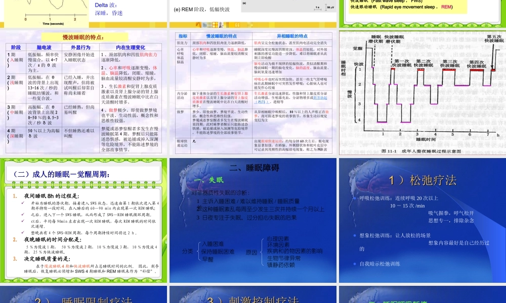 睡眠与生理节律.ppt