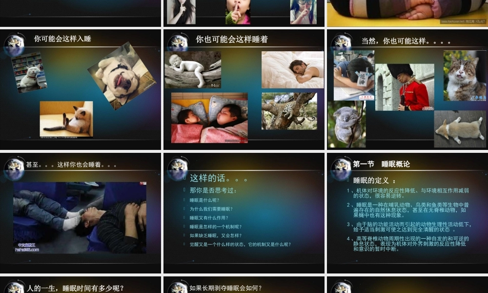 睡眠与觉醒的脑机制PPT分解.ppt