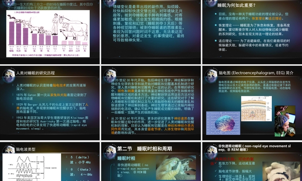 睡眠与觉醒的脑机制PPT分解.ppt