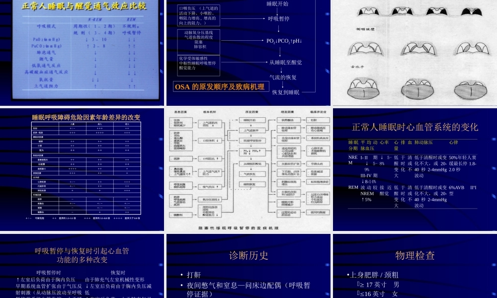 睡眠呼吸暂停的诊治.ppt