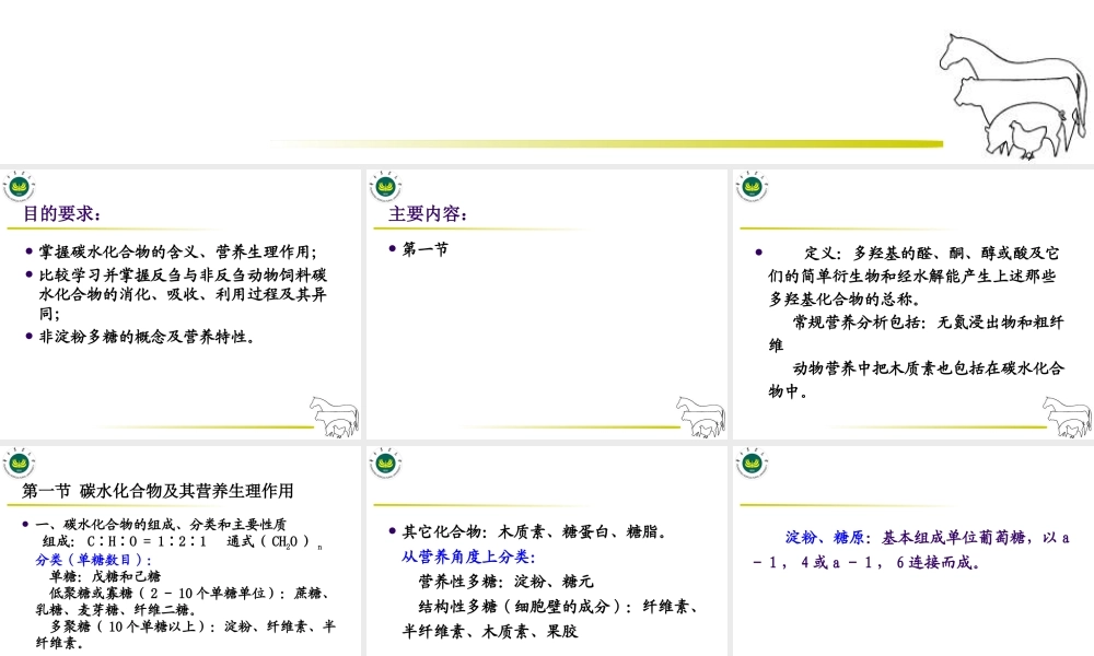碳水化合物营养.ppt