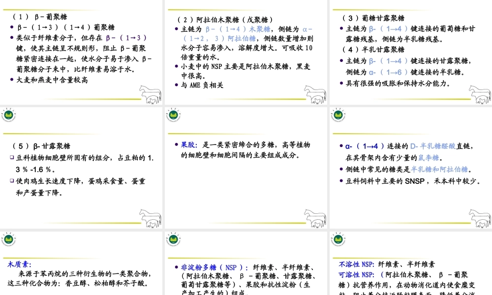 碳水化合物营养.ppt