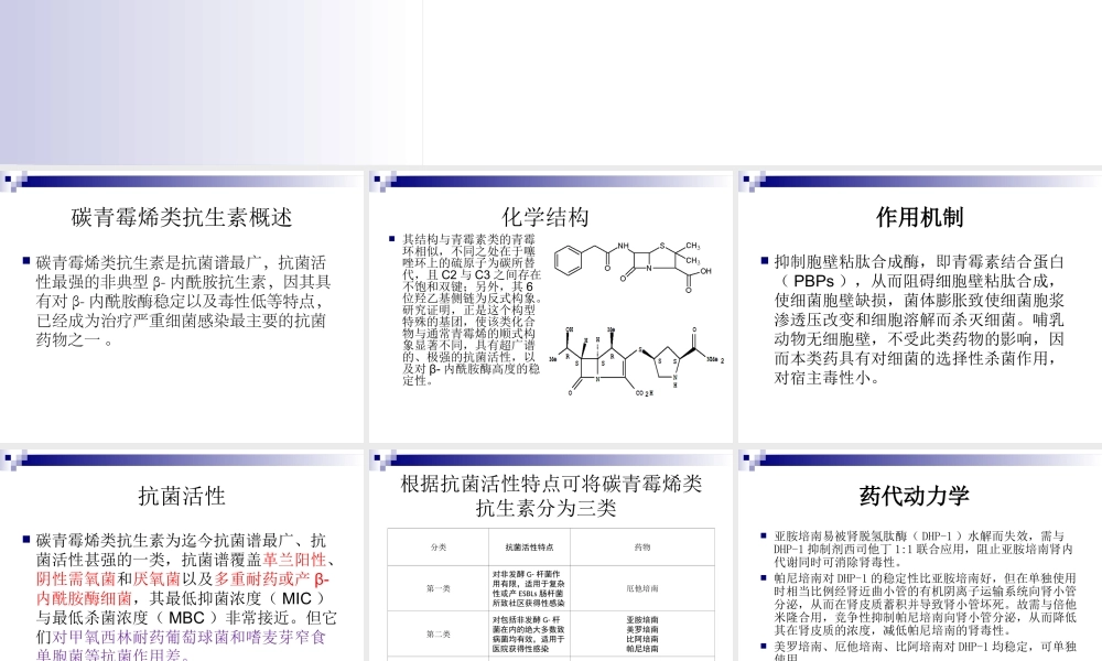 碳青霉烯类抗菌药.ppt