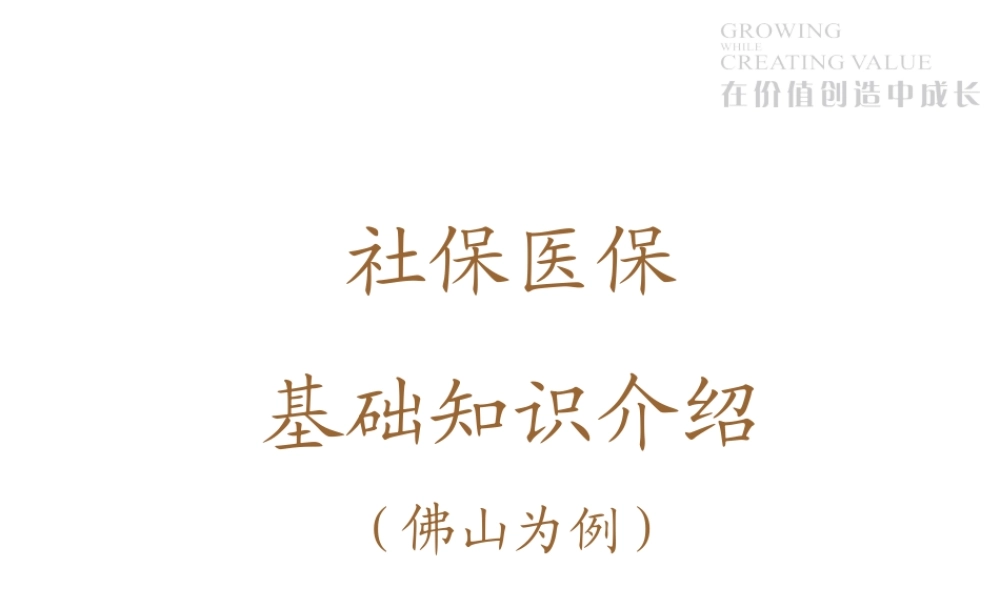 社保-医保基本知识简介.ppt