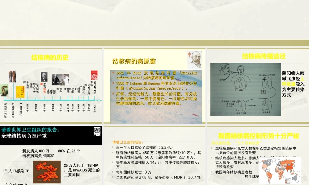 社区结核病防治知识.ppt