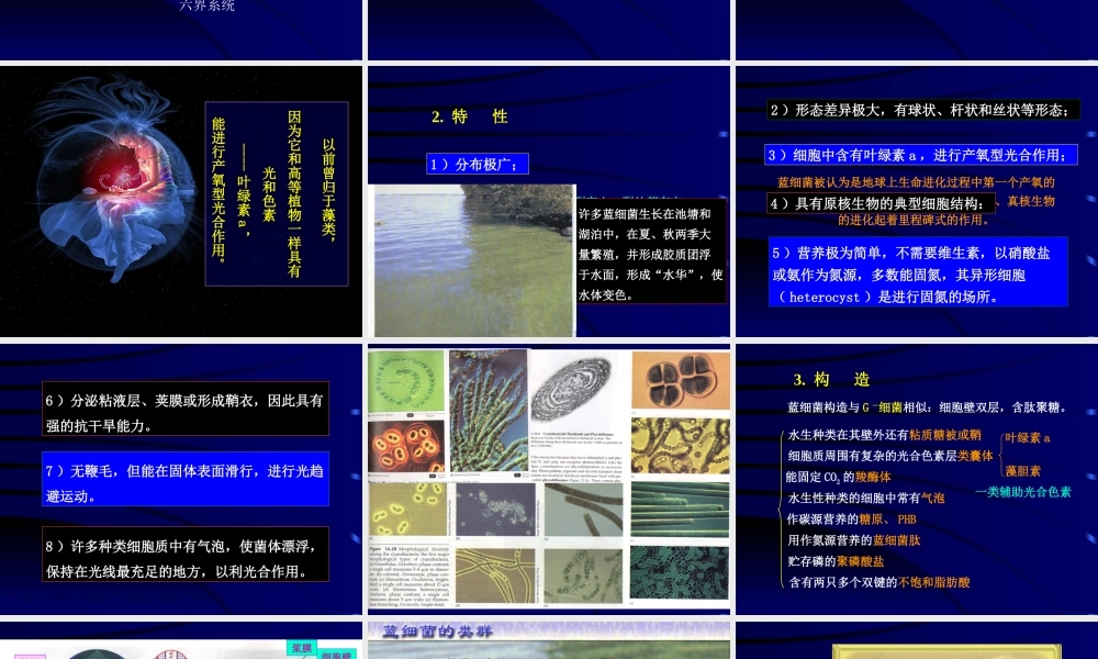 神奇的蓝细菌.ppt