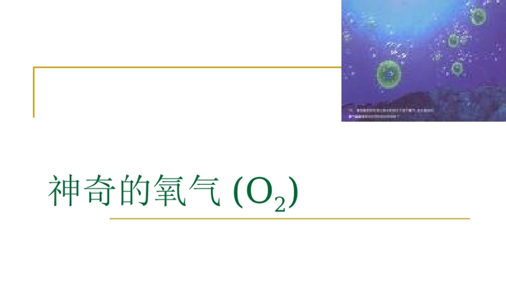 神奇的氧气.ppt