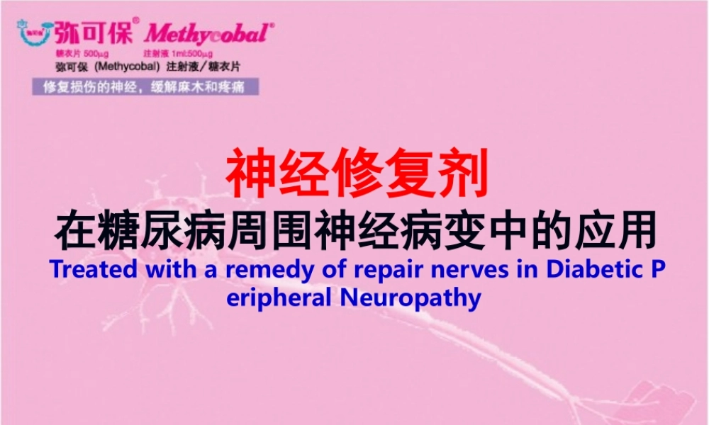 神经修复剂在DPN中的应用.ppt