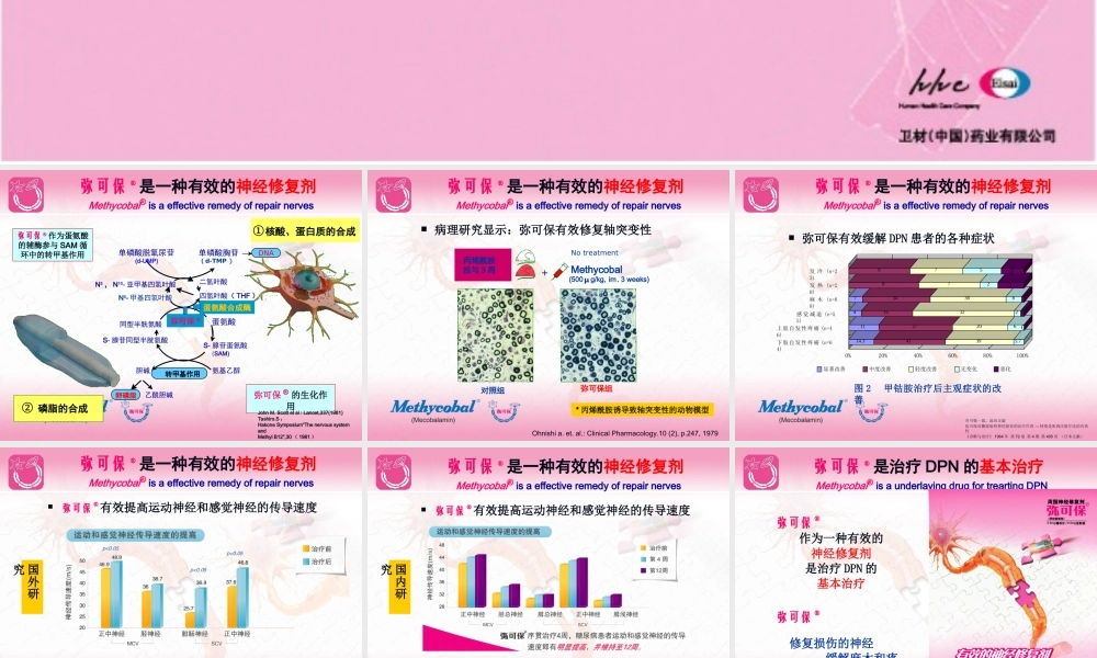 神经修复剂在DPN中的应用.ppt