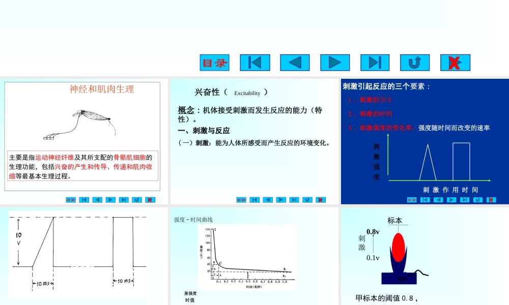 神经和肌肉-1模板.ppt