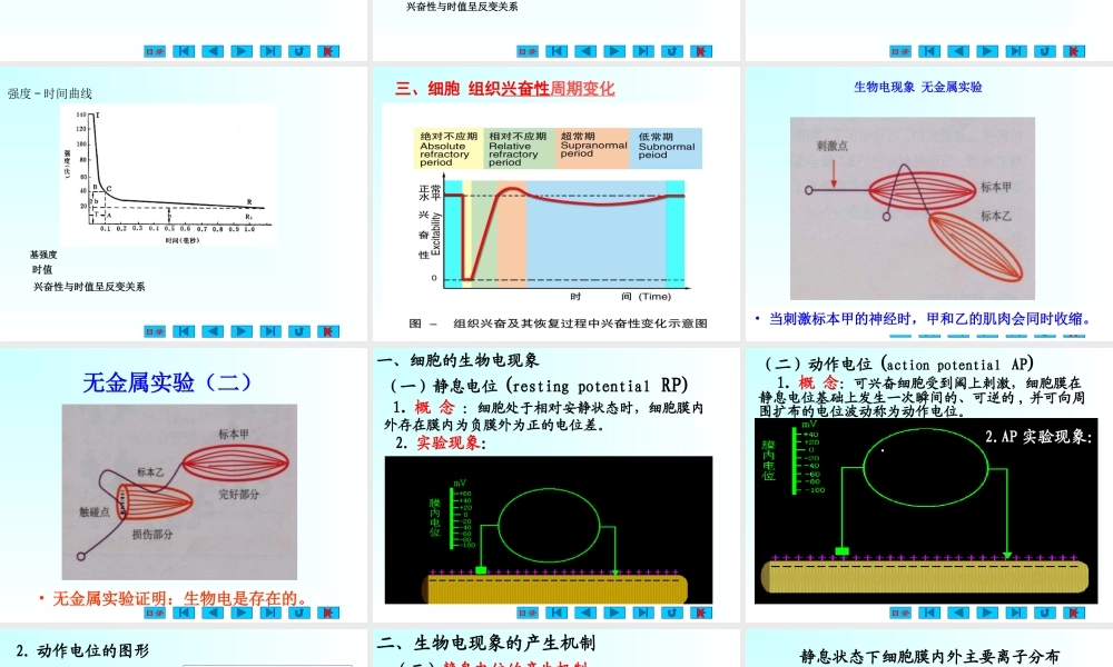 神经和肌肉-1模板.ppt