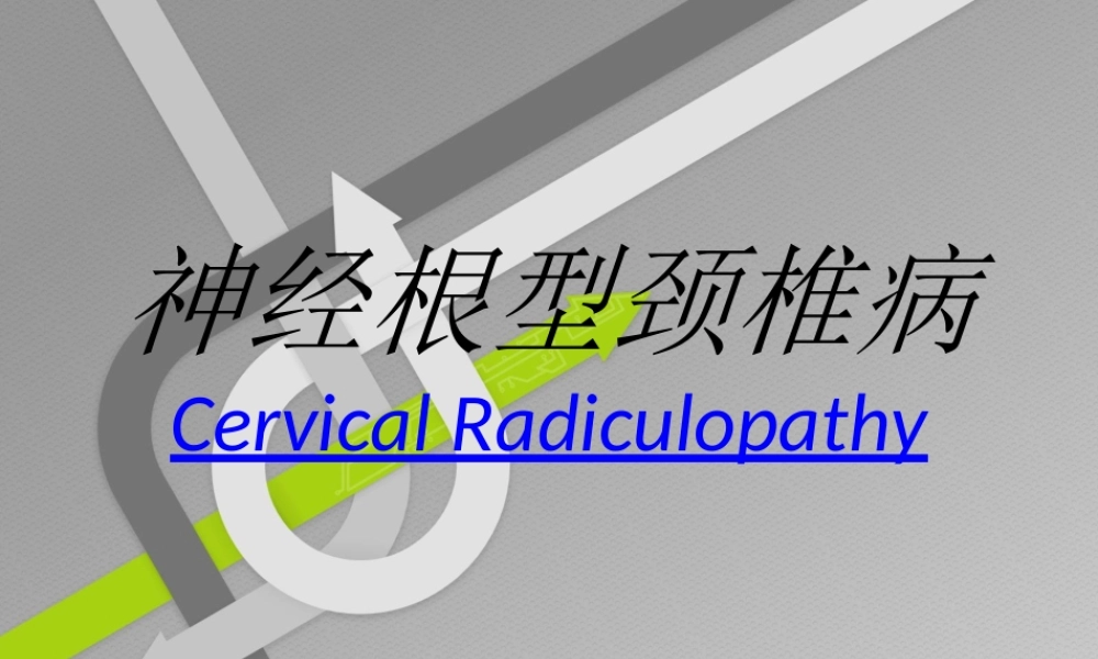 神经根性颈椎病.ppt
