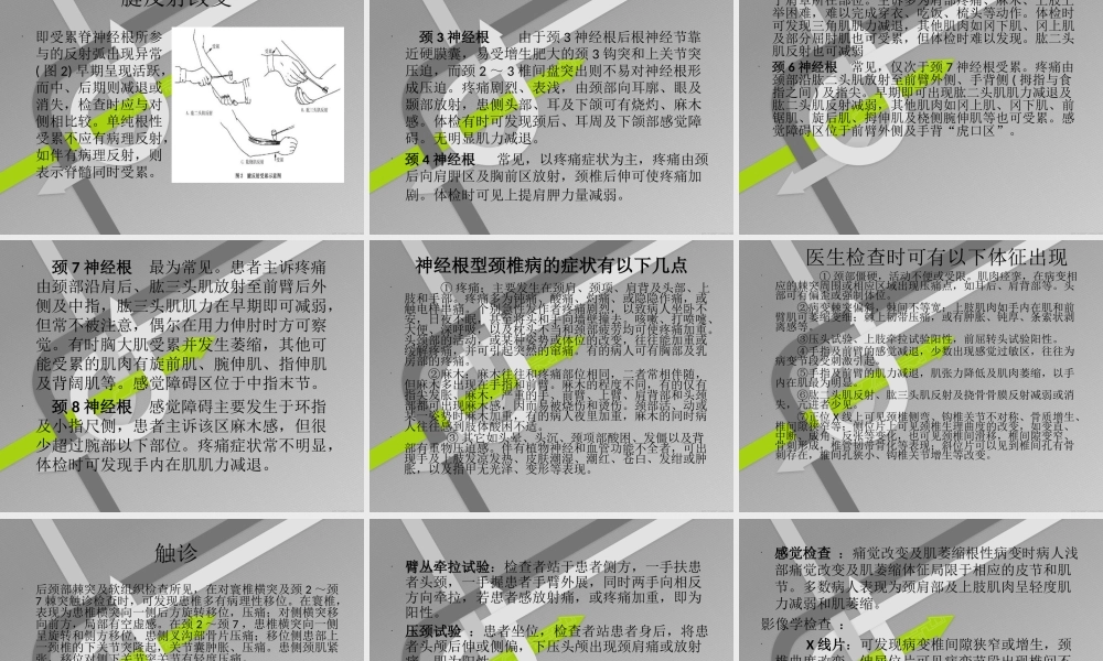 神经根性颈椎病.ppt