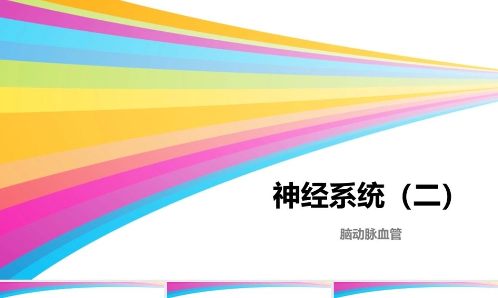 神经系统(二)脑动脉血管.pptx