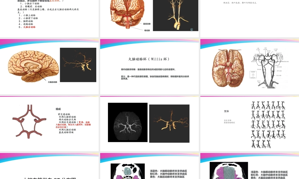 神经系统(二)脑动脉血管.pptx