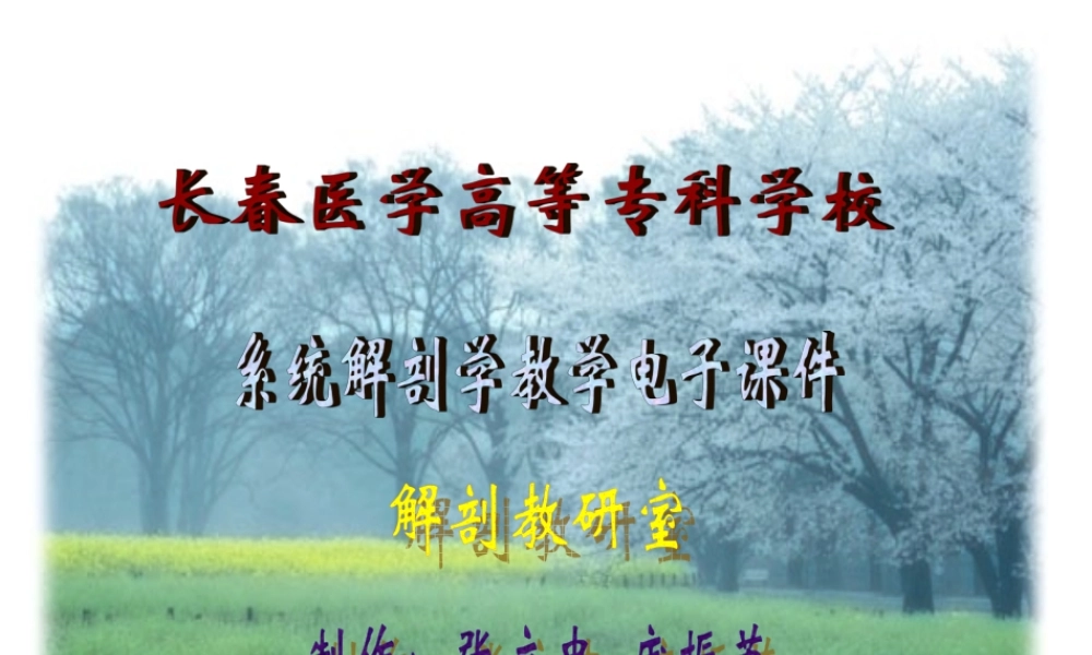 神经系统端脑(完整).ppt