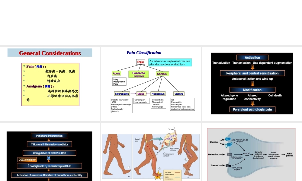 神经系统药理—魏尔清(镇痛药.ppt