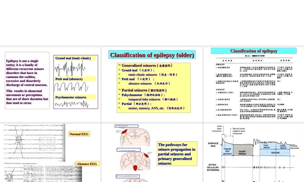 神经系统药理—魏尔清-抗癫痫药.ppt
