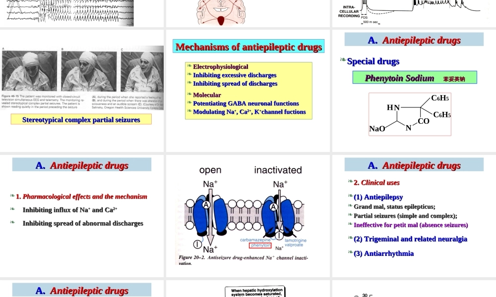 神经系统药理—魏尔清-抗癫痫药.ppt