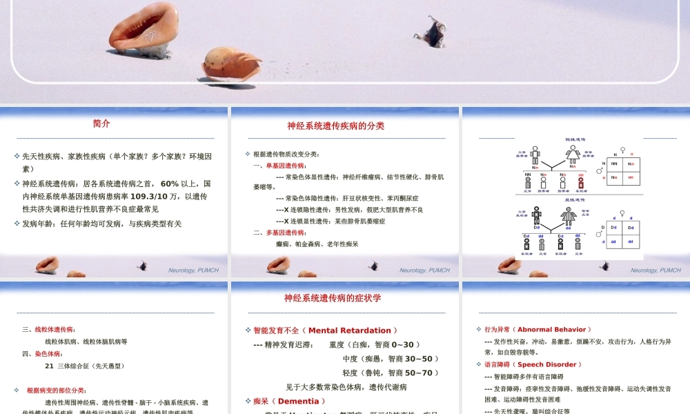 神经系统遗传病.ppt