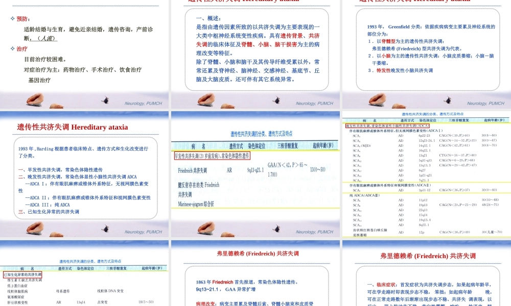 神经系统遗传病.ppt