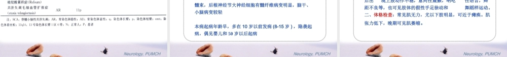 神经系统遗传病.ppt