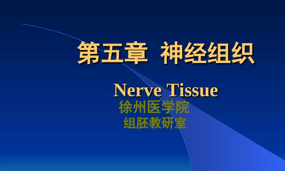 神经组织(徐医)组织胚胎学.ppt