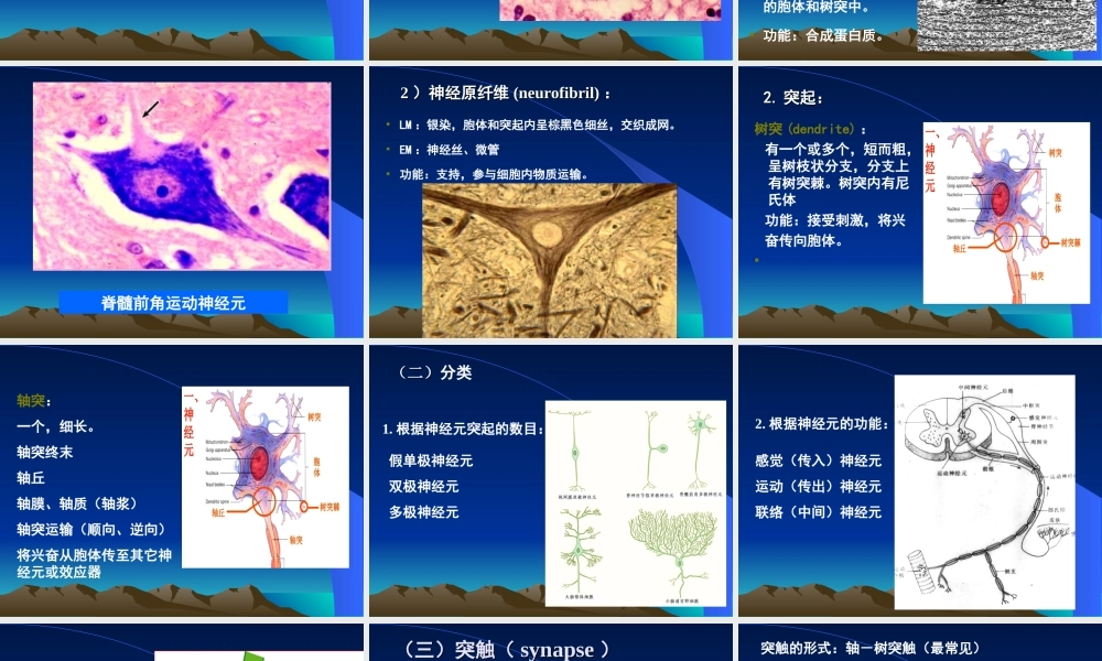 神经组织(徐医)组织胚胎学.ppt