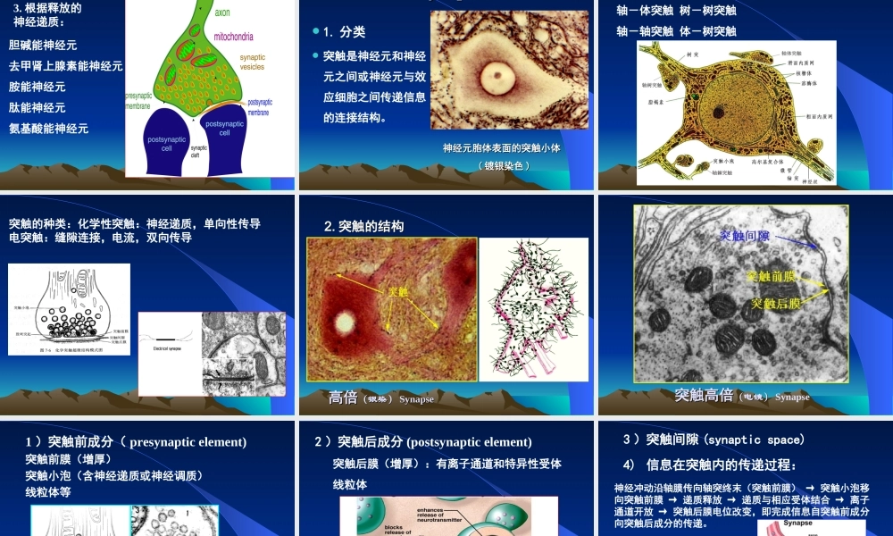 神经组织(徐医)组织胚胎学.ppt