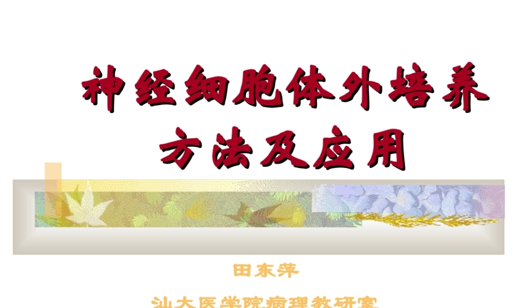 神经细胞体外培养方法及应用.ppt