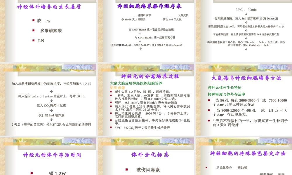 神经细胞体外培养方法及应用.ppt