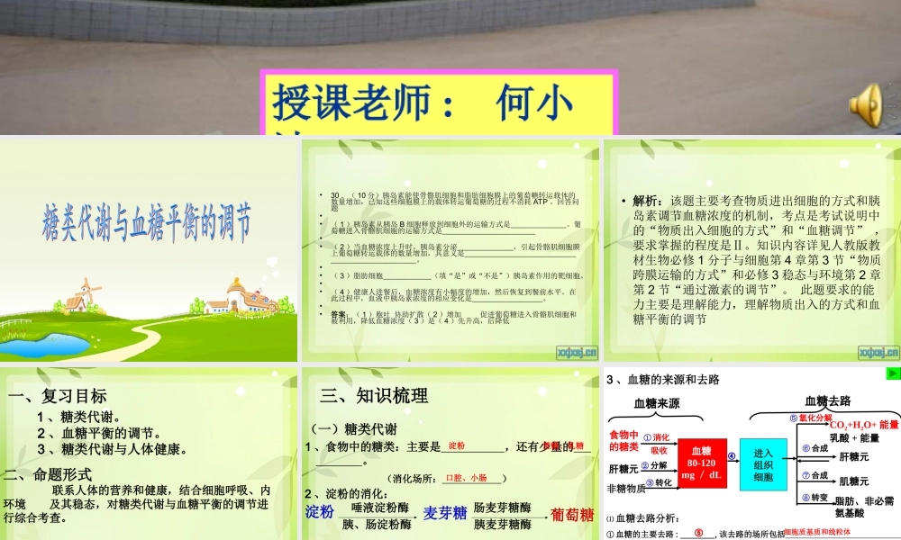 糖代谢与血糖平衡的调节--一轮复习-公开课.ppt