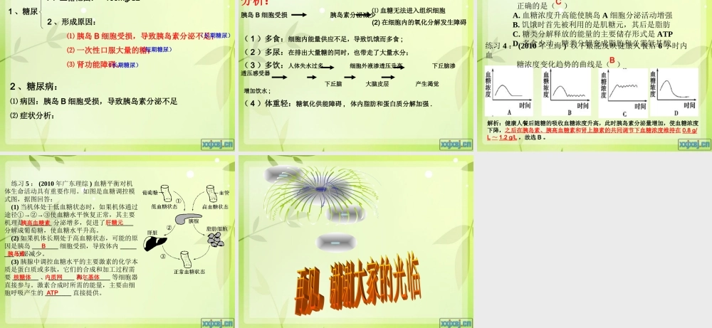 糖代谢与血糖平衡的调节--一轮复习-公开课.ppt