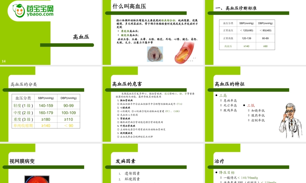 糖尿并高血压、耳聋--2.14.ppt