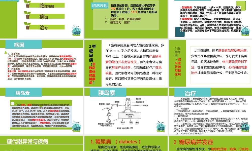 糖尿病----第三组.pptx