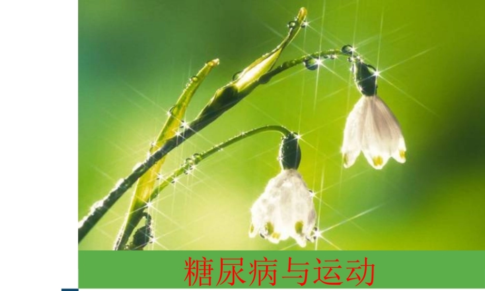 糖尿病与运动详解.ppt