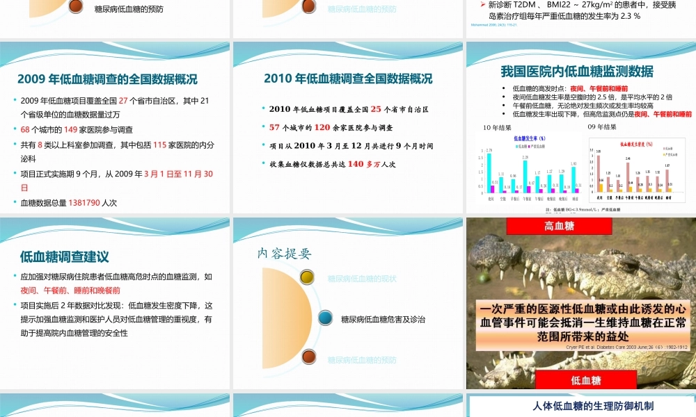 糖尿病低血糖的防治.pptx