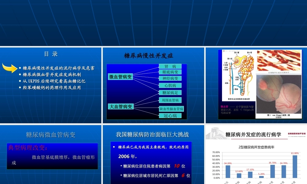 糖尿病微血管病(交流).ppt