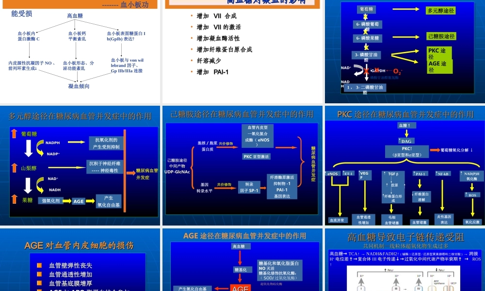 糖尿病微血管病(交流).ppt