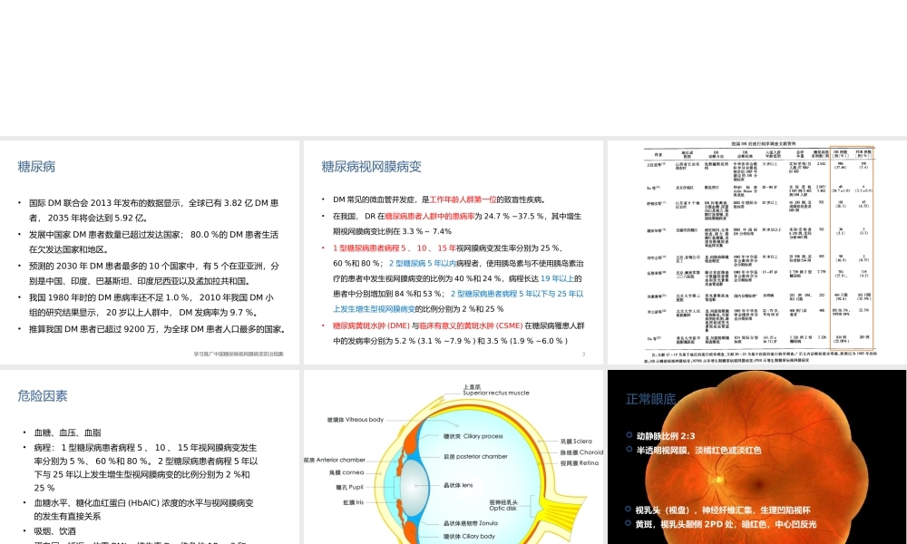 糖尿病性视网膜病变.pptx