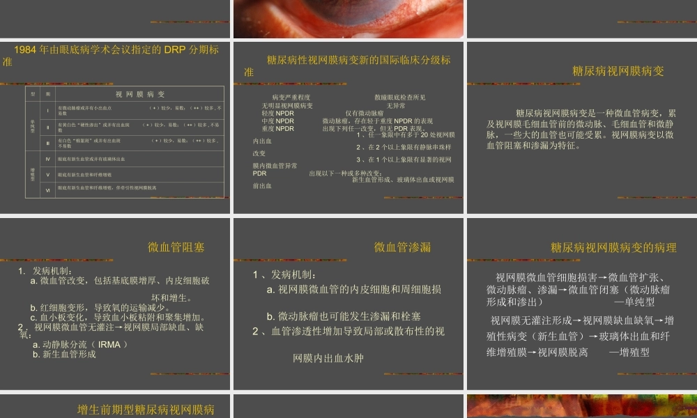 糖尿病性视网膜病变2014年.ppt