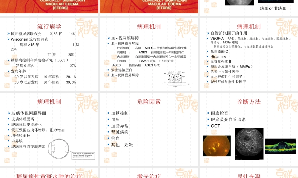 糖尿病性黄斑水肿.ppt