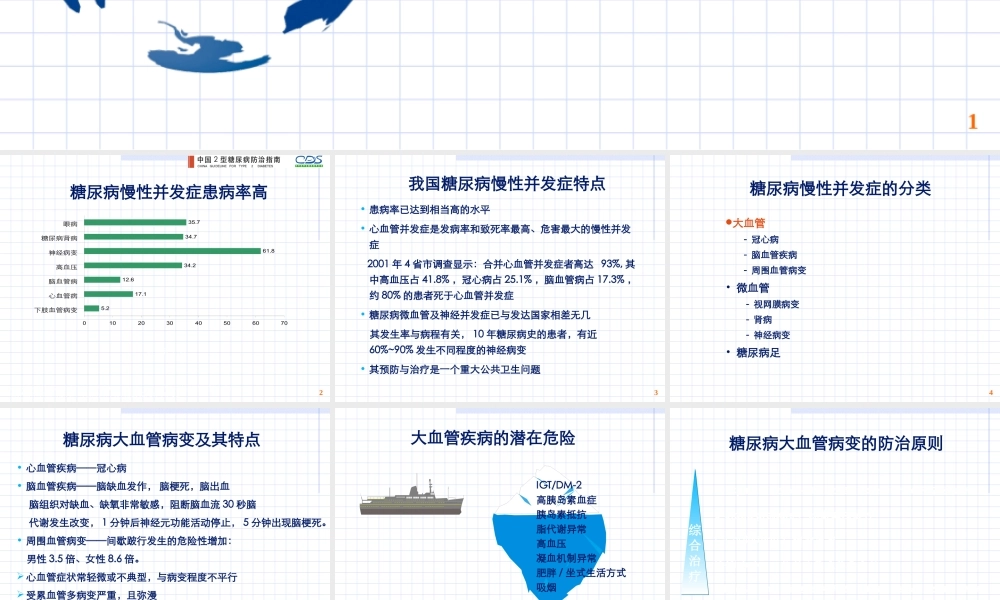 糖尿病慢性并发症概述PPT---糖尿病与并发症.ppt