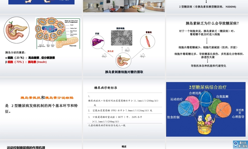 糖尿病抗阻疗法李岩.ppt