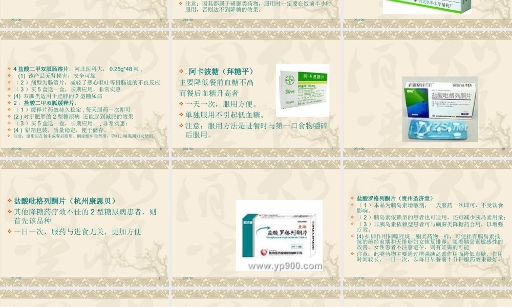 糖尿病病因及联合用药PPT文稿.ppt