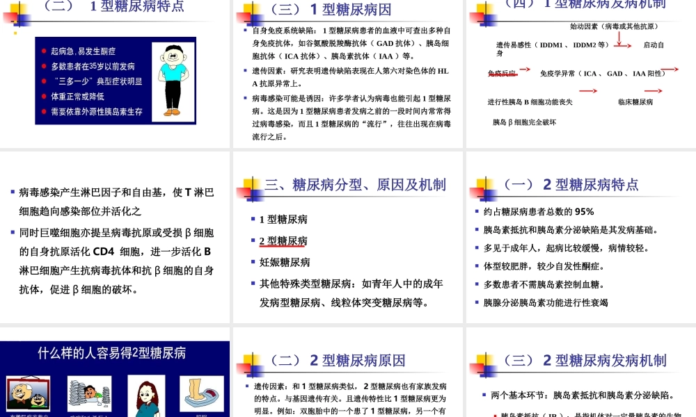 糖尿病的病因及发.ppt