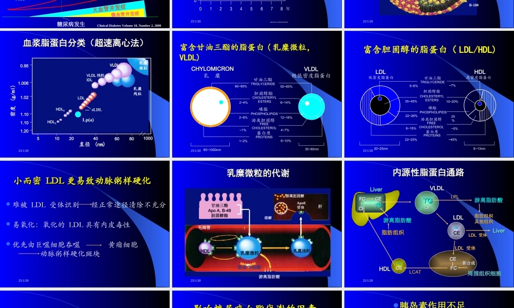 糖尿病脂质代谢紊乱及防治.ppt