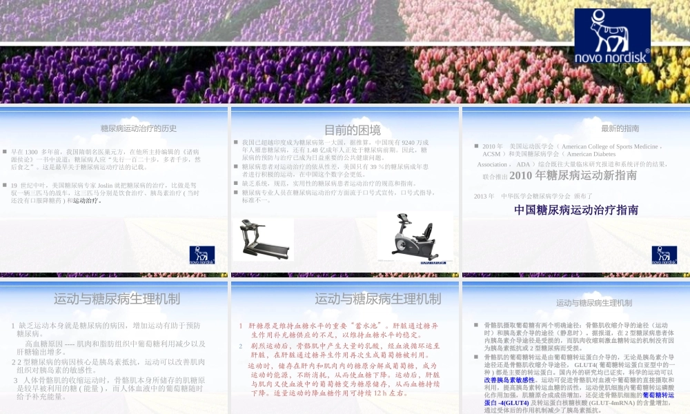 糖尿病运动疗法-2014年5月.ppt