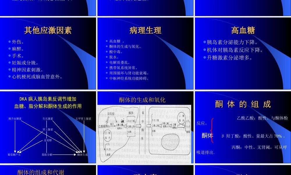 糖尿病酮症酸中毒-李平.ppt