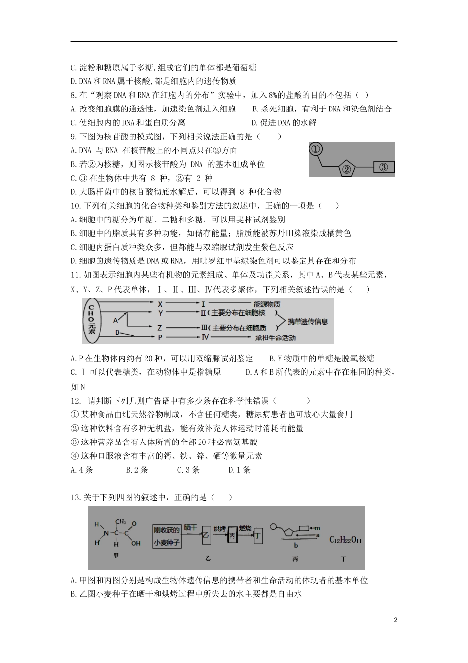 内蒙古包钢一中2023学年高一生物上学期期中试题.doc_第2页